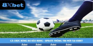 cược bóng đá kèo rung
